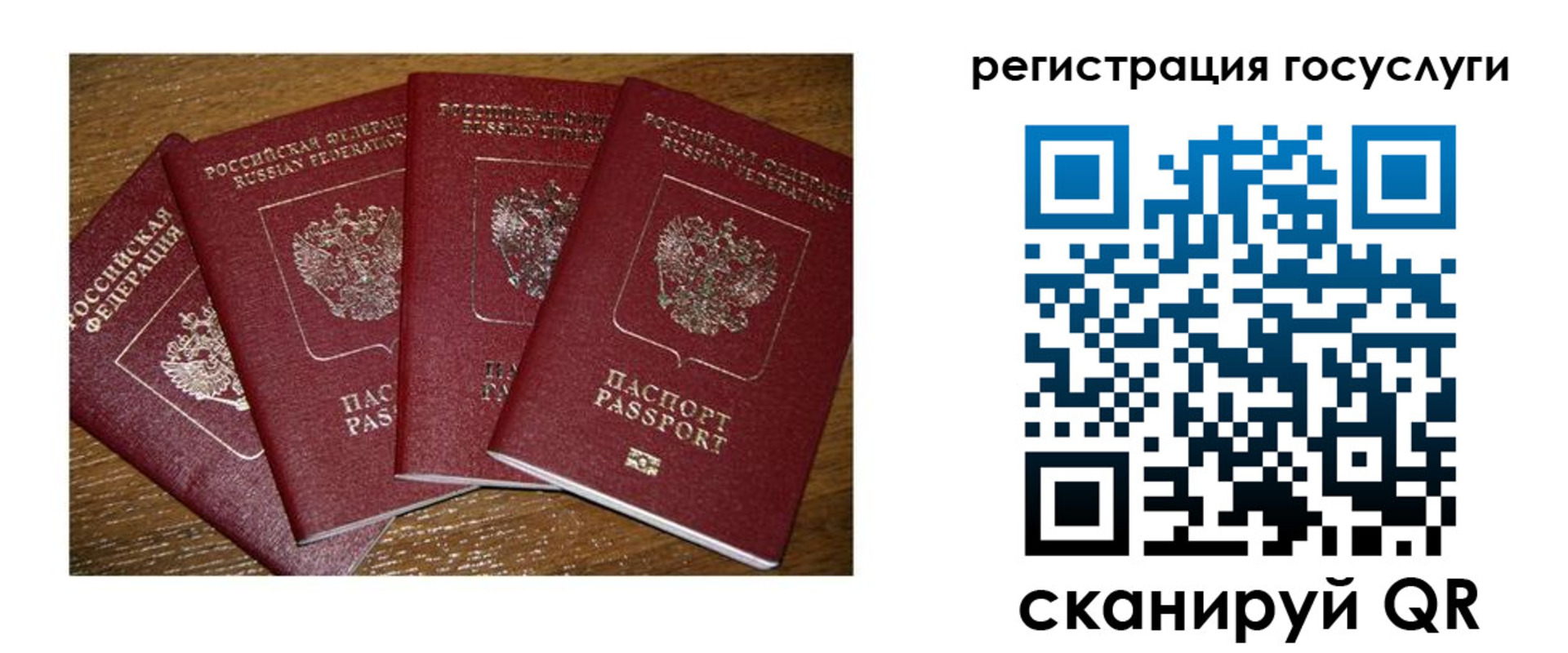 временная регистрация гарантия в Мурино